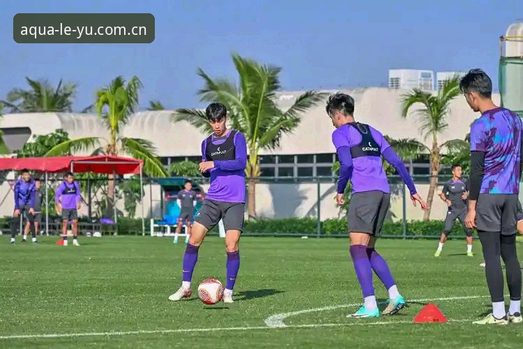 乐鱼体育平台新老版本对比：v3.4.2到底怎么用怎么样？