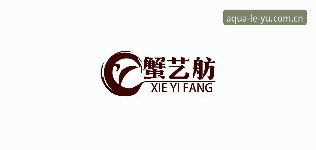 资深用户分享：我的乐鱼体育平台实战心得与官方入口获取技巧